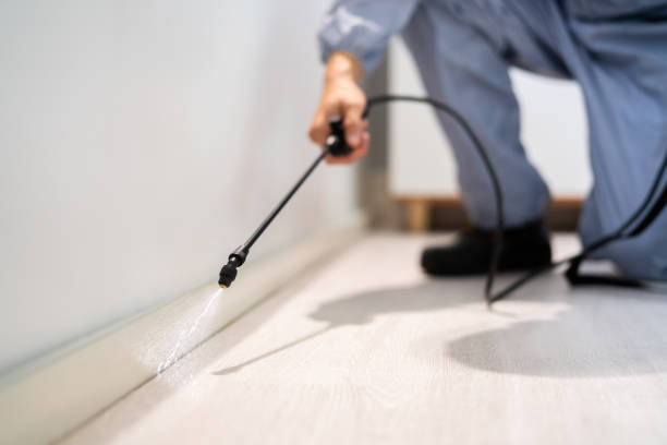 Professional exterminator conducting IPM assessment in Mahomet